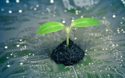 Green IT : l’écologie éthique et écologique de l’informatique