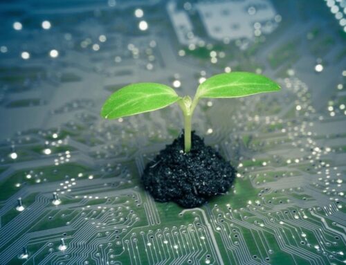 Green IT : l’écologie éthique et écologique de l’informatique